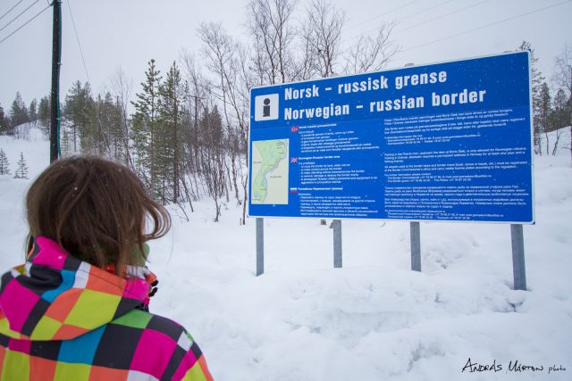 pasvik-nemzeti-park_norvegia_01