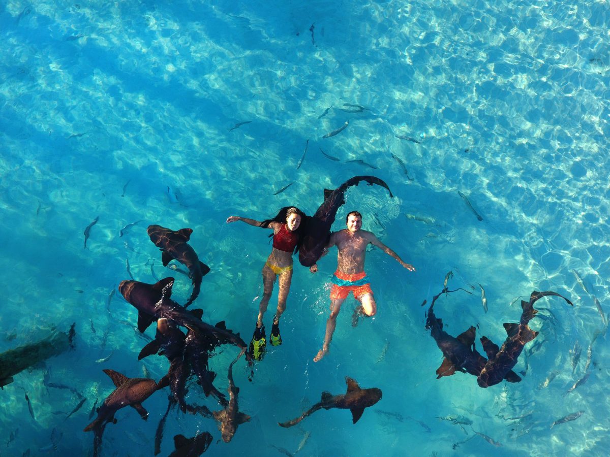 Heidi Hong and Ryan Blackstock floating with sharks at Exuma Pig Beach in Big Major Cay, Exuma Cays, Bahamas as seen on Travel Channel's Top Secret Beaches episode TTSB103H.