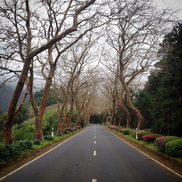 sao-miguel_azori-szigetek_02