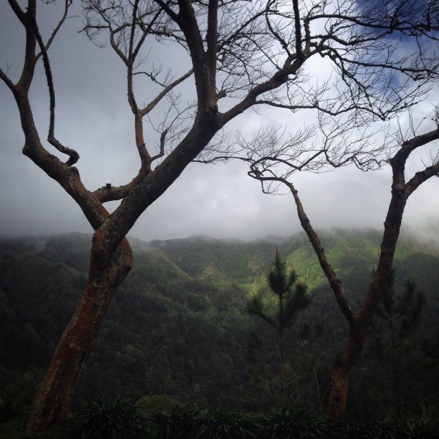 sao-miguel_azori-szigetek_03