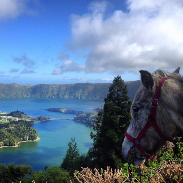 sao-miguel_azori-szigetek_10