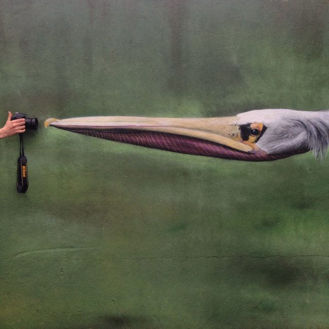 sao-miguel_azori-szigetek_35