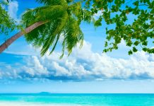 Egzotikus utak, egzotikus betegségek