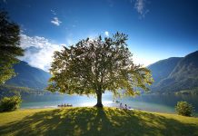 A csodálatos Bohinji-tó