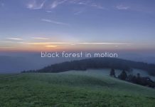 Mozgásban a Fekete-erdő