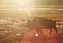 A legelső -Yellowstone Nemzeti Park