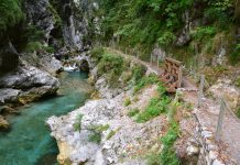 A Tolmin patak szurdoka