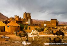 Marokkó csodás világa