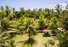 Bali, az Istenek szigete