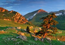Pollino Nemzeti Park – Olaszország rejtett kincse