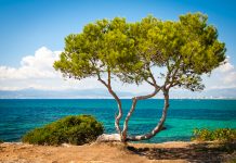 El Arenal – Mallorca riviérája képekben El Arenal - Playa de Palma