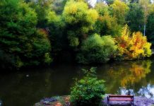 Miskolctapolca – a nyugalom szigetei a Csónakázó tavon