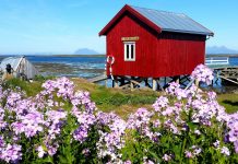 Norvégia – Oslótól Altáig