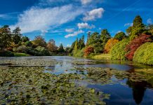 Sheffield Park & Garden