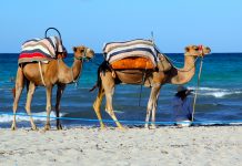 Tunézia, Djerba – ami sokkal különlegesebb, mint gondolnánk