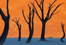 Dead Vlei – szürreális látvány a Namib-sivatagban