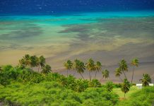 Élet Hawaii-on – 10 érdekes tény a szigetről