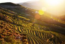 Douro-völgy, Portugália legszebb (bor)vidéke