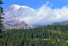 Mount Rainier – „A Hegy”