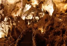 Carlsbad Caverns – A földalatti korallzátony