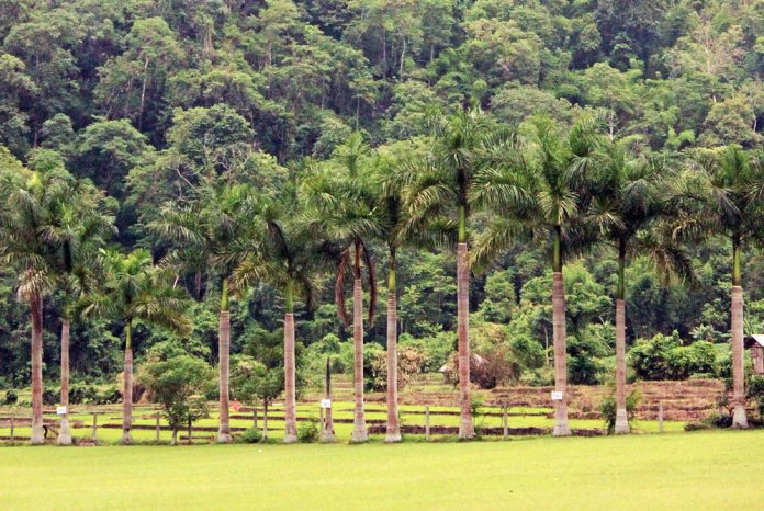 tham wua monostor_thaifold_07