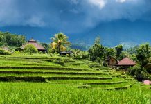 Akciós utazás Balira