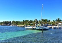 Belize és a kihalófélben lévő sellőik, a lamantinok