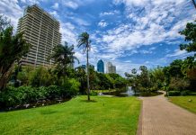 Brisbane – koalák és egyéb állatfajták