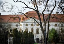 A Pece-parti Párizs, Nagyvárad