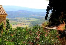 Provence-i kalandozások – parfümtitkok Grasse-ból
