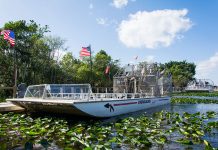 Everglades – home of the alligators