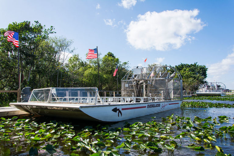 Everglades – home of the alligators