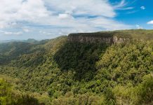 Springbrook Nemzeti Park
