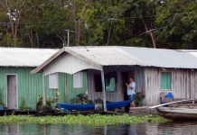 Kirándulás az Amazonas mentén