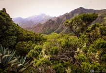 Tenerife – az ezerarcú sziget