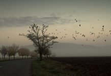 Lehet KÉK a Balaton-felvidéki ősz (és tavasz)