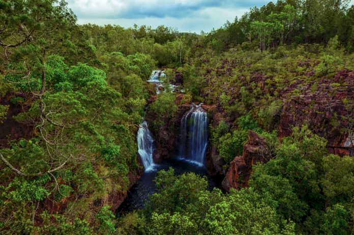 litchfield-nemzeti-park_ausztralia_03