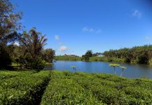 Mauritius – egy falat mennyország