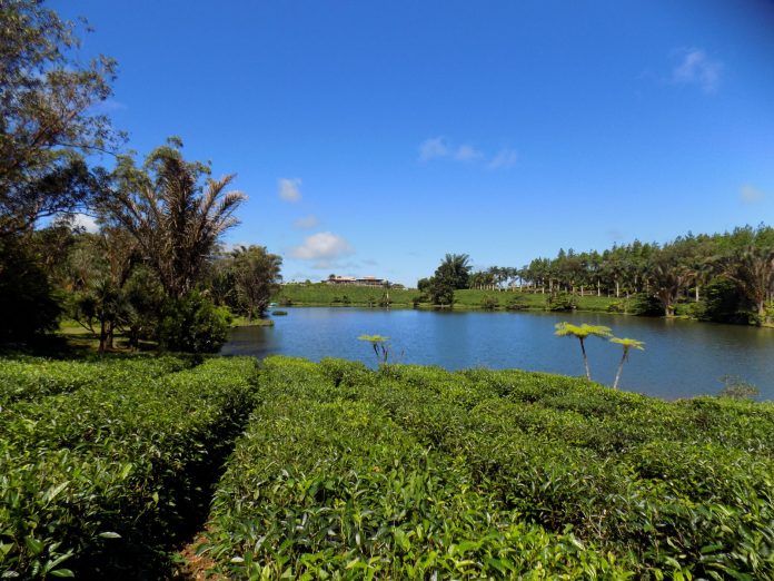 mauritius_29