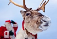 Magyarul köszönő Mikulás – útifilm a finn Lapföld fővárosáról, Rovaniemiről