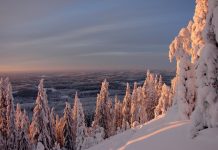 Téli csodaország – a Koli Nemzeti Park Finnországban