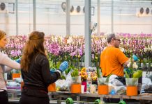 5 special programs in Slovenia, one step away from the border