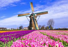 7 unmissable sights at Amsterdam’s surroundings