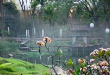 Thaiföldi kalandozások – Chiang Mai színei és ízei