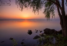 Két keréken a Tisza-tó körül