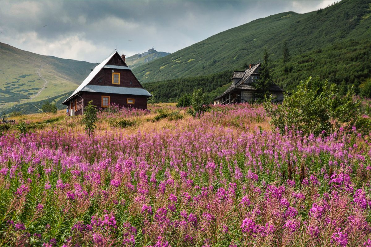 Tátrai túrák Zakopane környékén – Világutazó