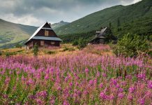 Tátrai túrák Zakopane környékén