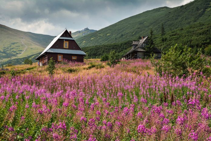 magas_tatra_zakopane_08