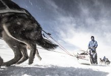300 kilométeres sarkköri kaland kutyaszánon – jelentkezz a Fjällräven Polar 2018-ra