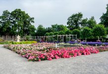 Baden – Egy hétvége a császári nyaralóhelyen